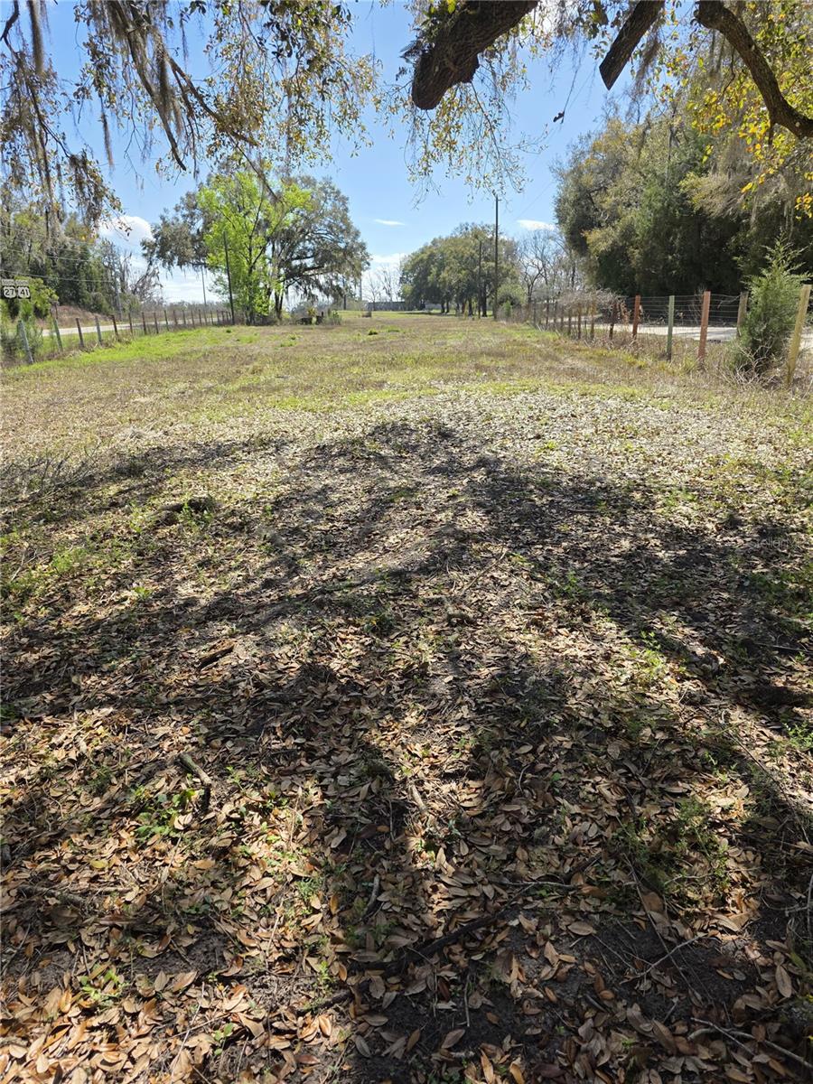 5950 NE HIGHWAY 41, WILLISTON, FL, 32696