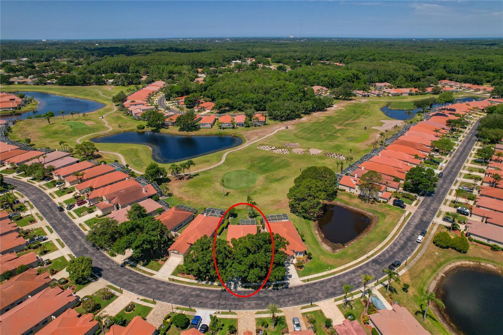 1186 DARTFORD DR, TARPON SPRINGS, FL, 34688