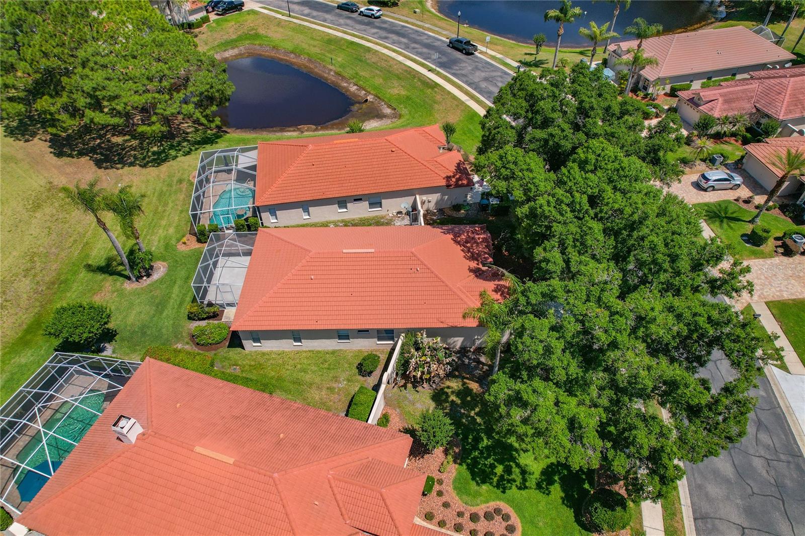 1186 DARTFORD DR, TARPON SPRINGS, FL, 34688