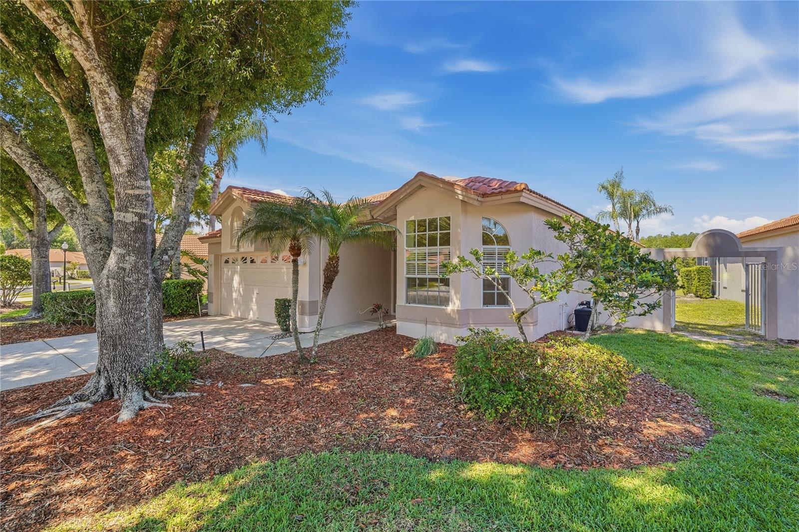 1186 DARTFORD DR, TARPON SPRINGS, FL, 34688