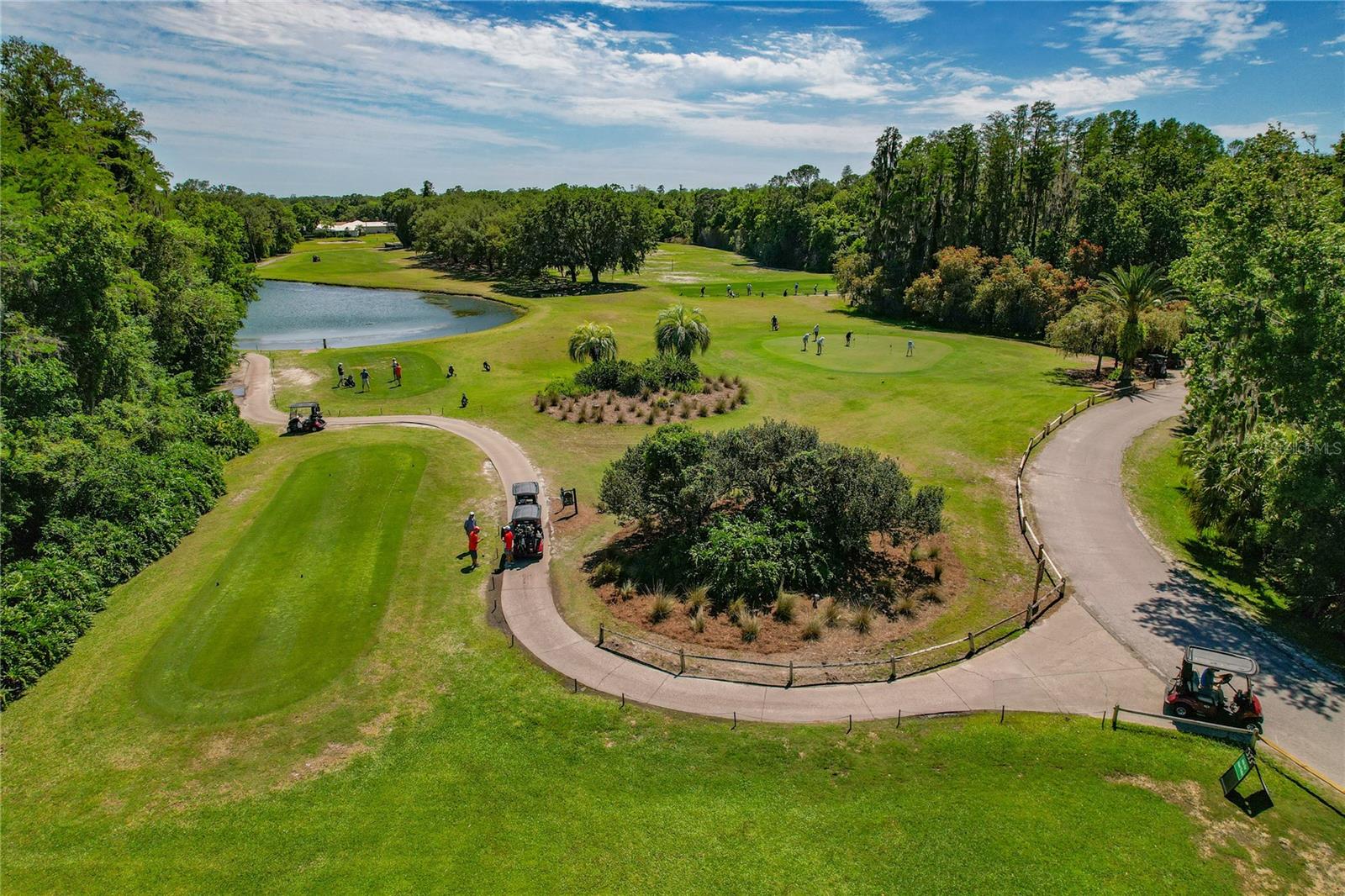 1186 DARTFORD DR, TARPON SPRINGS, FL, 34688