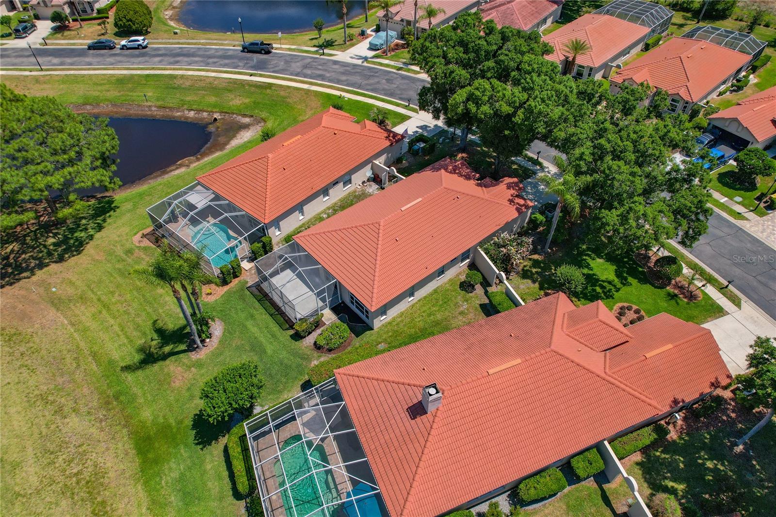 1186 DARTFORD DR, TARPON SPRINGS, FL, 34688