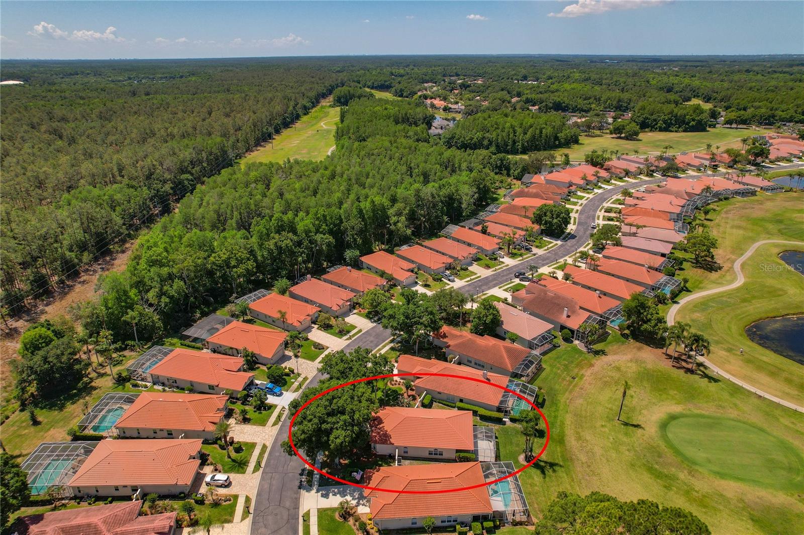 1186 DARTFORD DR, TARPON SPRINGS, FL, 34688