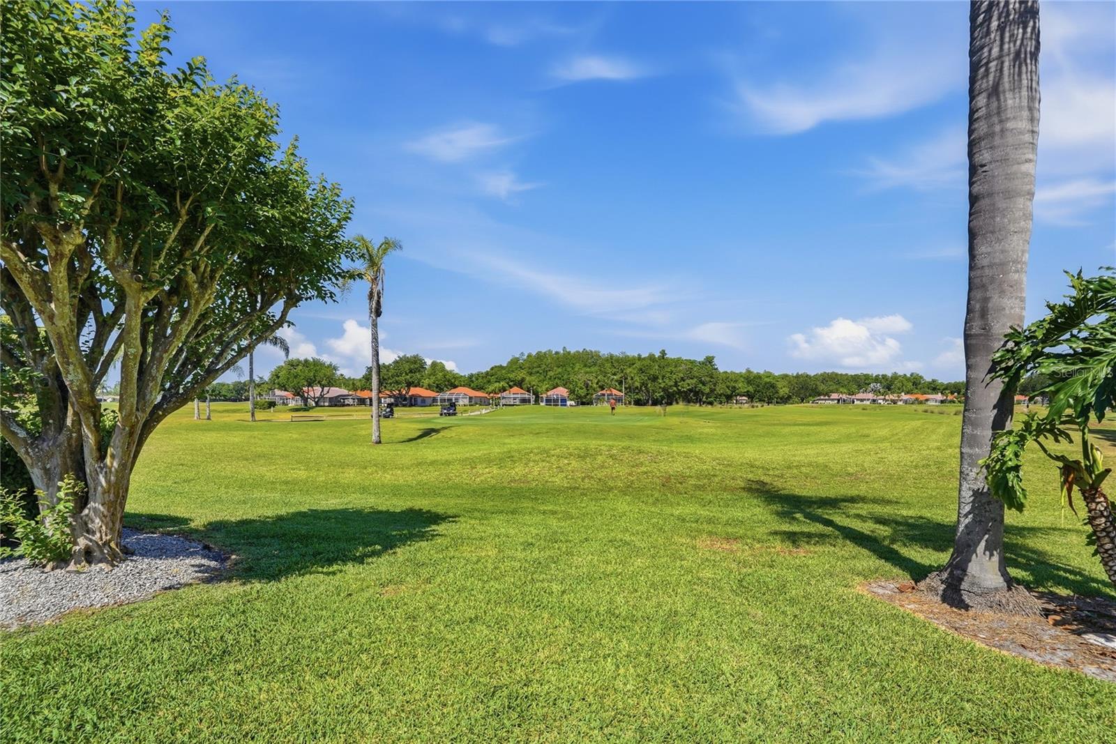 1186 DARTFORD DR, TARPON SPRINGS, FL, 34688