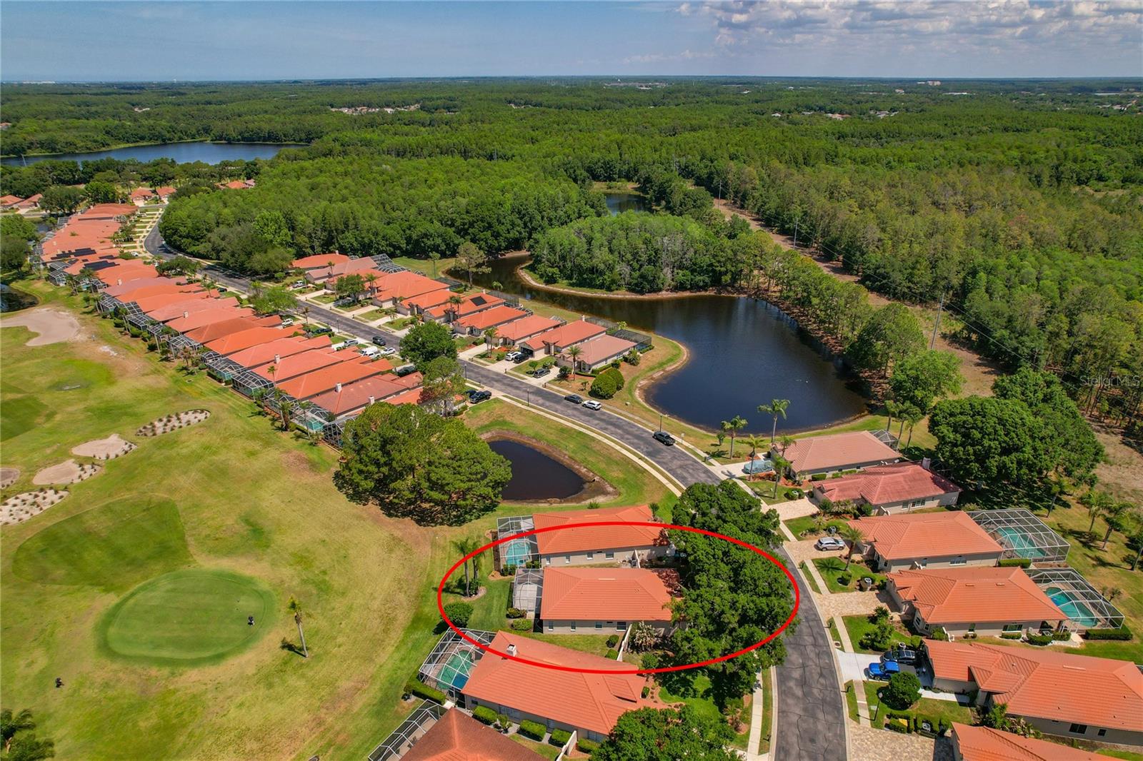 1186 DARTFORD DR, TARPON SPRINGS, FL, 34688