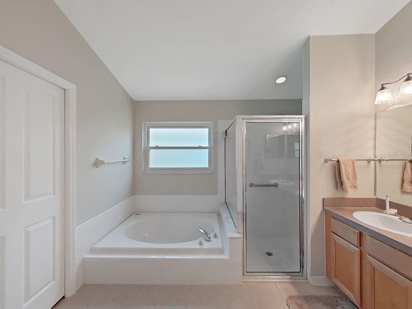 30612 NICKERSON LOOP, WESLEY CHAPEL, FL, 33543