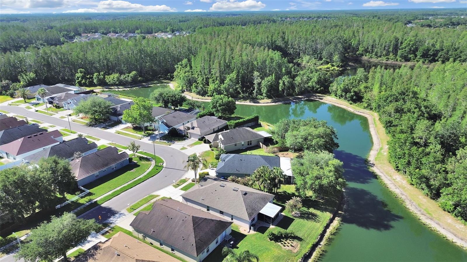 30612 NICKERSON LOOP, WESLEY CHAPEL, FL, 33543