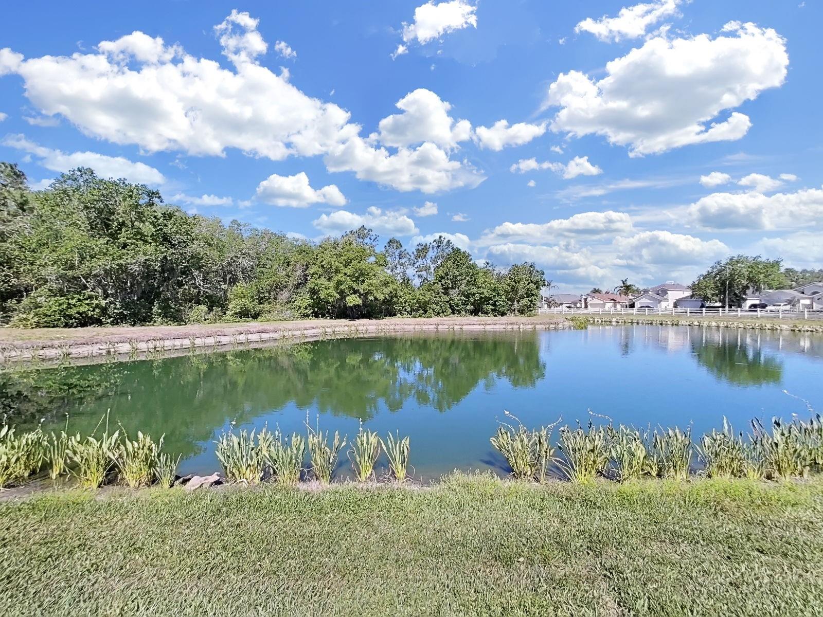 30612 NICKERSON LOOP, WESLEY CHAPEL, FL, 33543