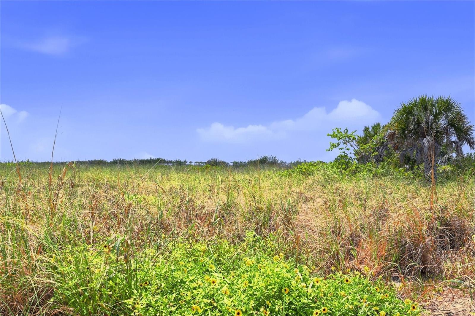 6950 PALM ISLAND DR, PLACIDA, FL, 33946