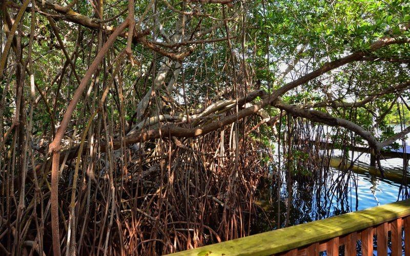 6950 PALM ISLAND DR, PLACIDA, FL, 33946