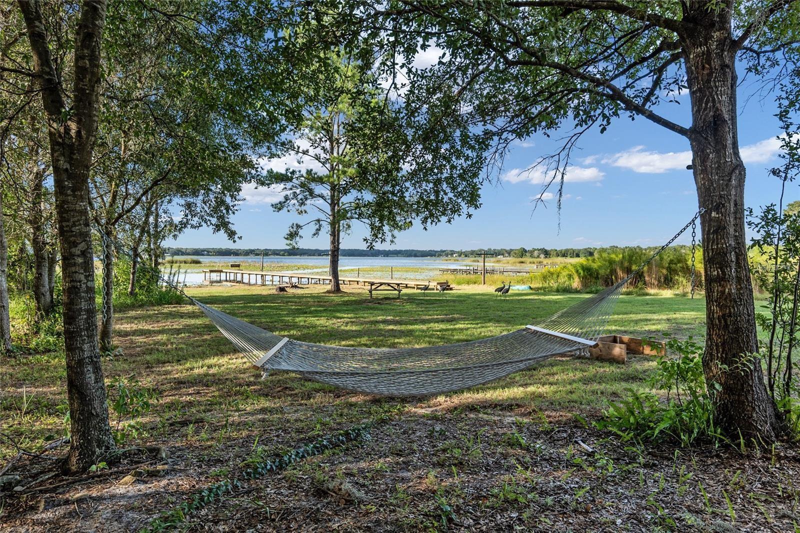 9947 SE 117TH STREET RD, BELLEVIEW, FL, 34420