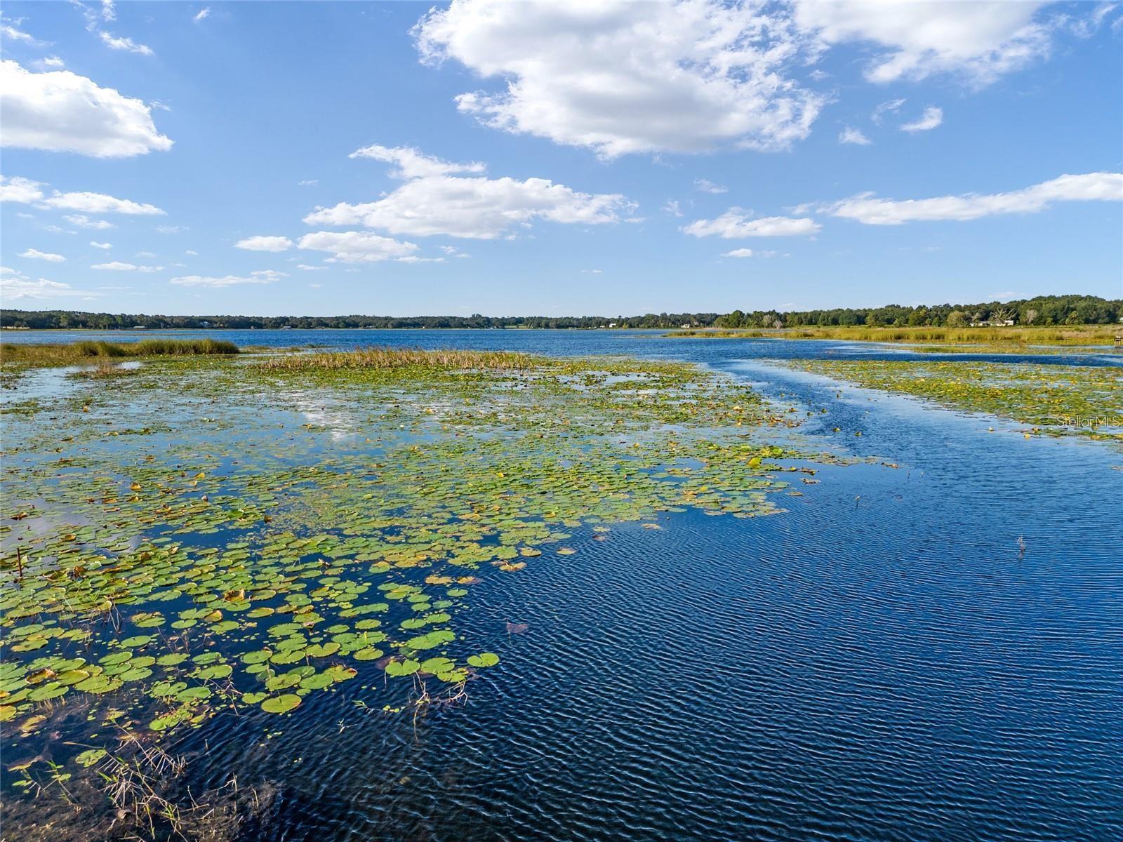 9947 SE 117TH STREET RD, BELLEVIEW, FL, 34420