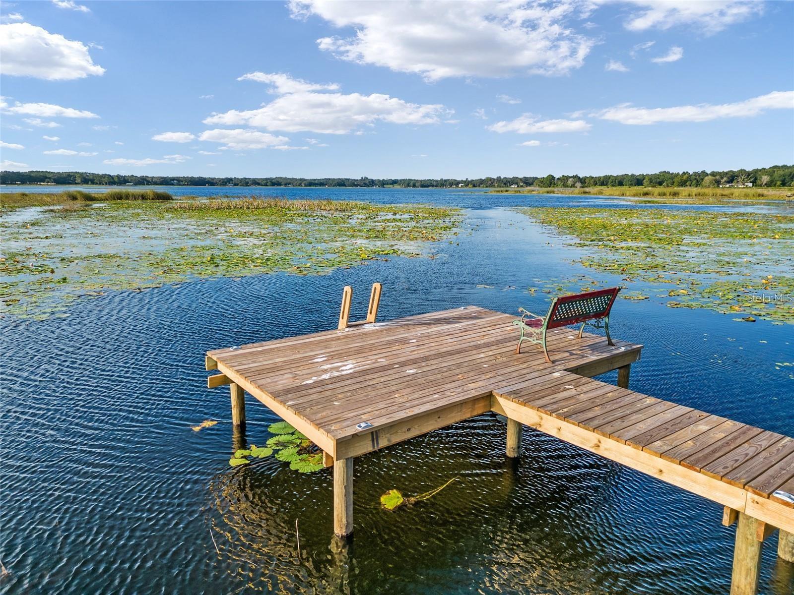 9947 SE 117TH STREET RD, BELLEVIEW, FL, 34420