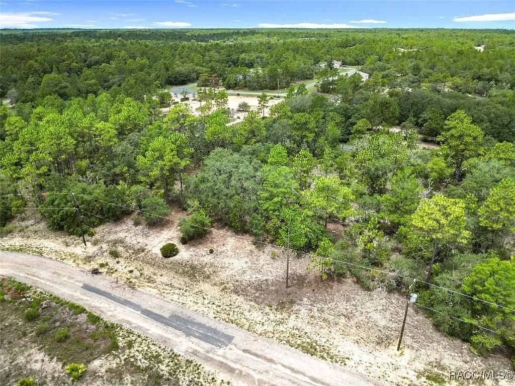 6688 N SAND DR, DUNNELLON, FL, 34433