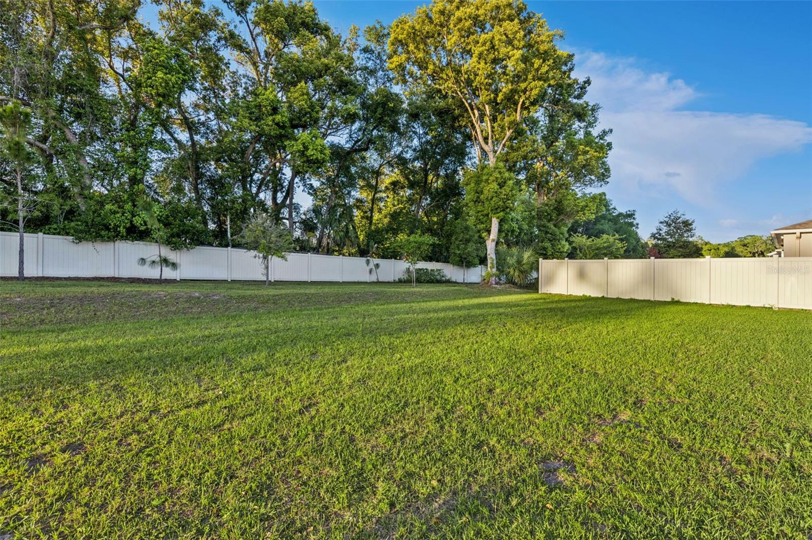 887 ASTERFIELD LN, DELAND, FL, 32720