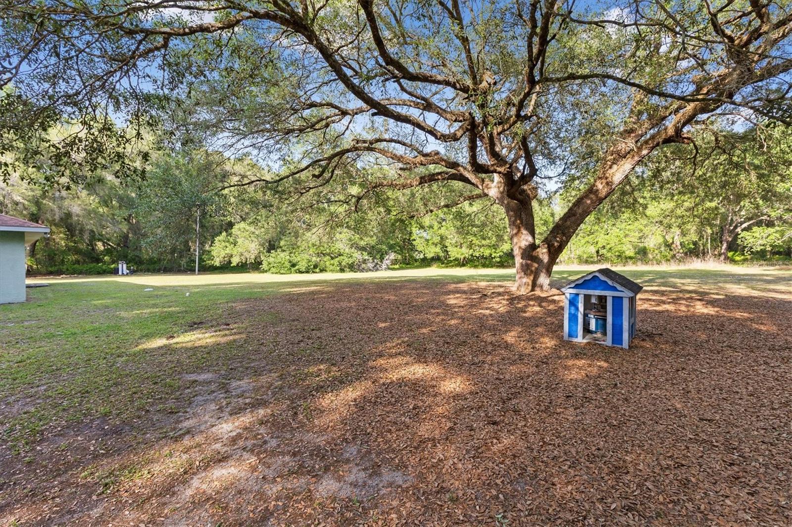 7175 COUNTY ROAD 213, WILDWOOD, FL, 34785