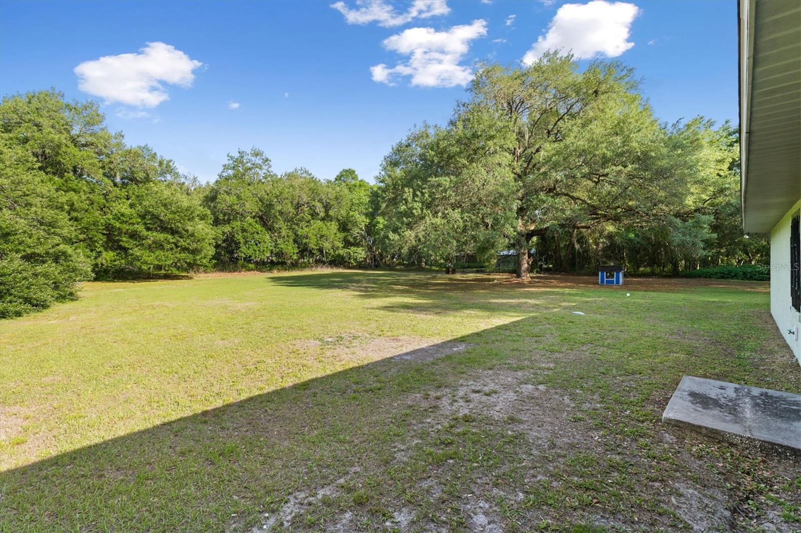 7175 COUNTY ROAD 213, WILDWOOD, FL, 34785