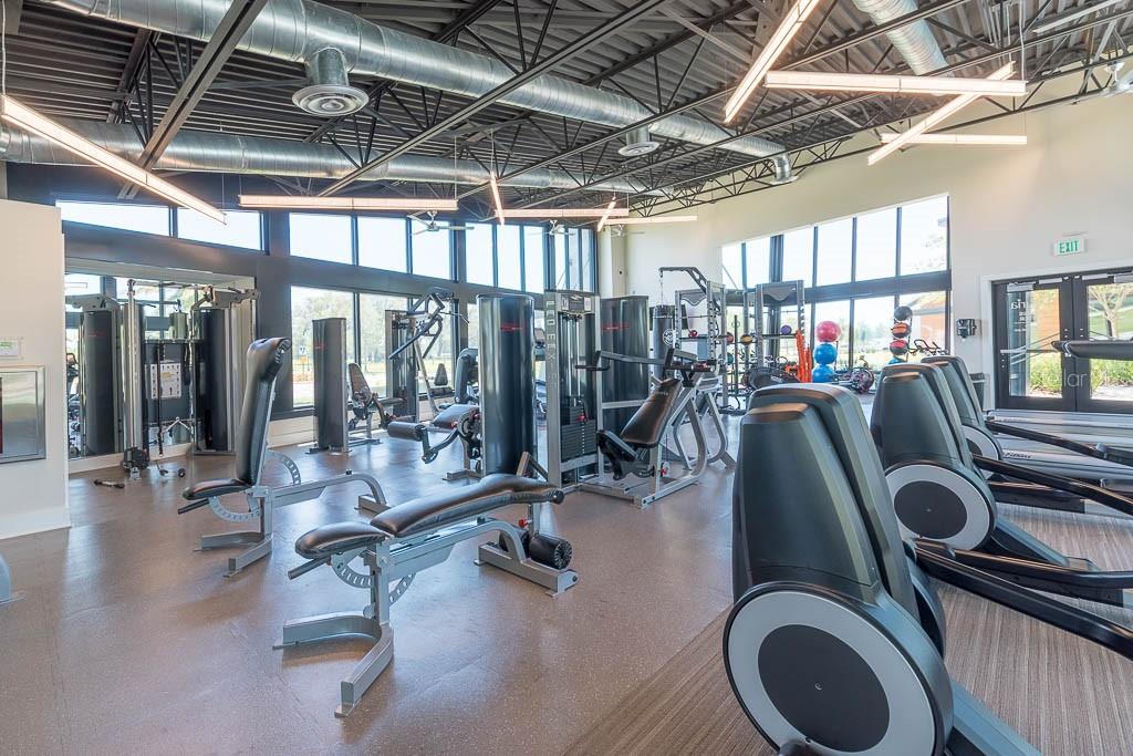 15166 RENAISSANCE AVE, ODESSA, FL, 33556