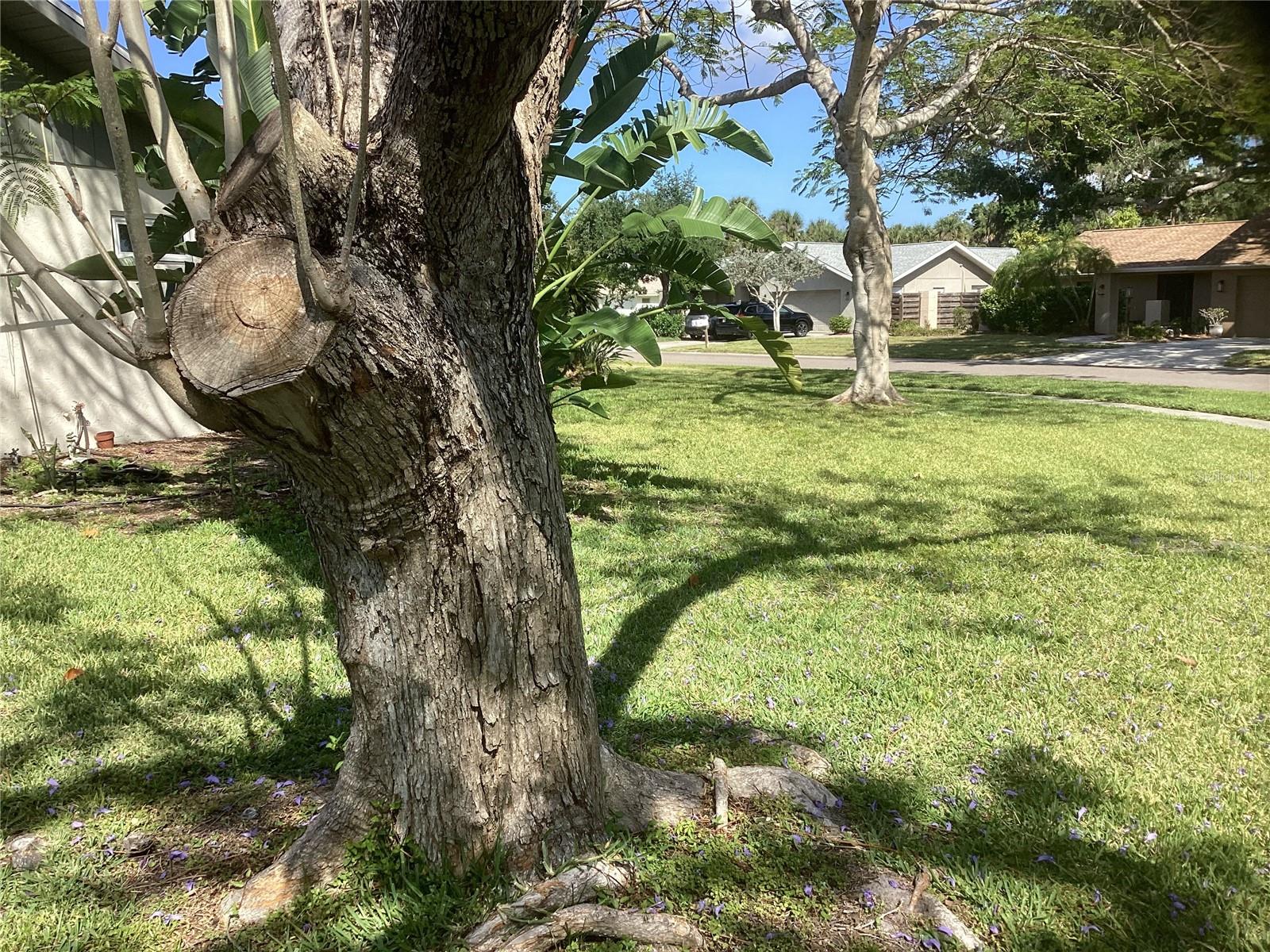 6508 WATERFORD CIR, SARASOTA, FL, 34238