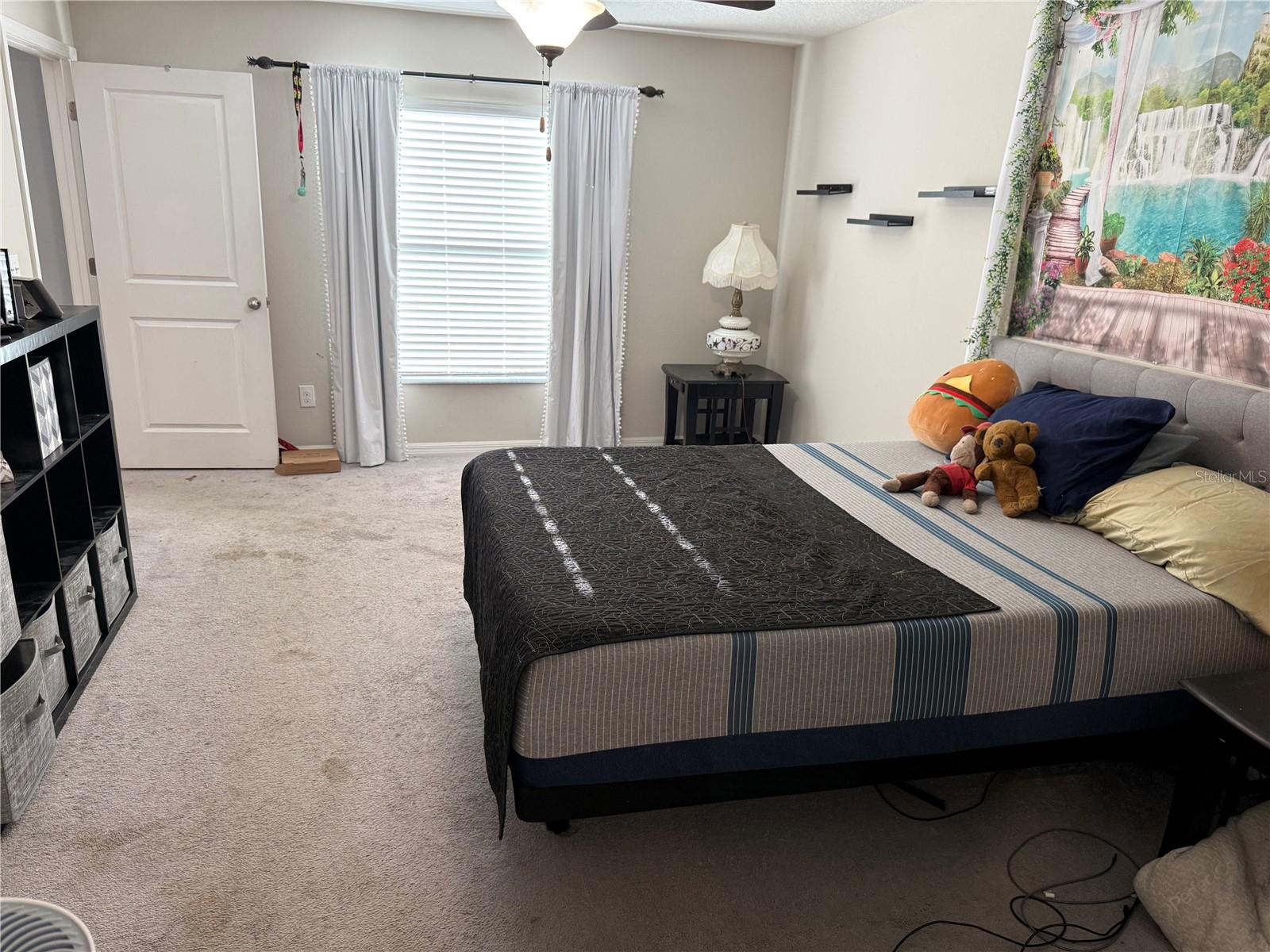 6629 WAGON TRAIL ST, ZEPHYRHILLS, FL, 33541