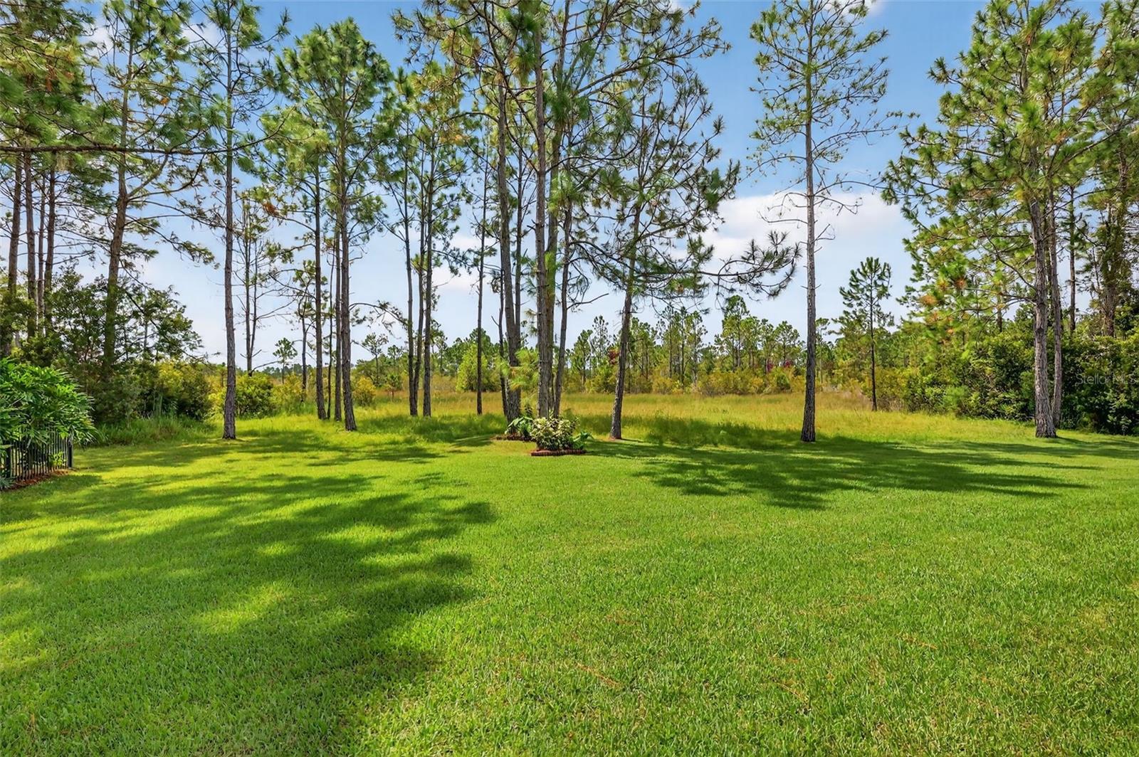 404 LONG AND WINDING RD, HOWEY IN THE HILLS, FL, 34737