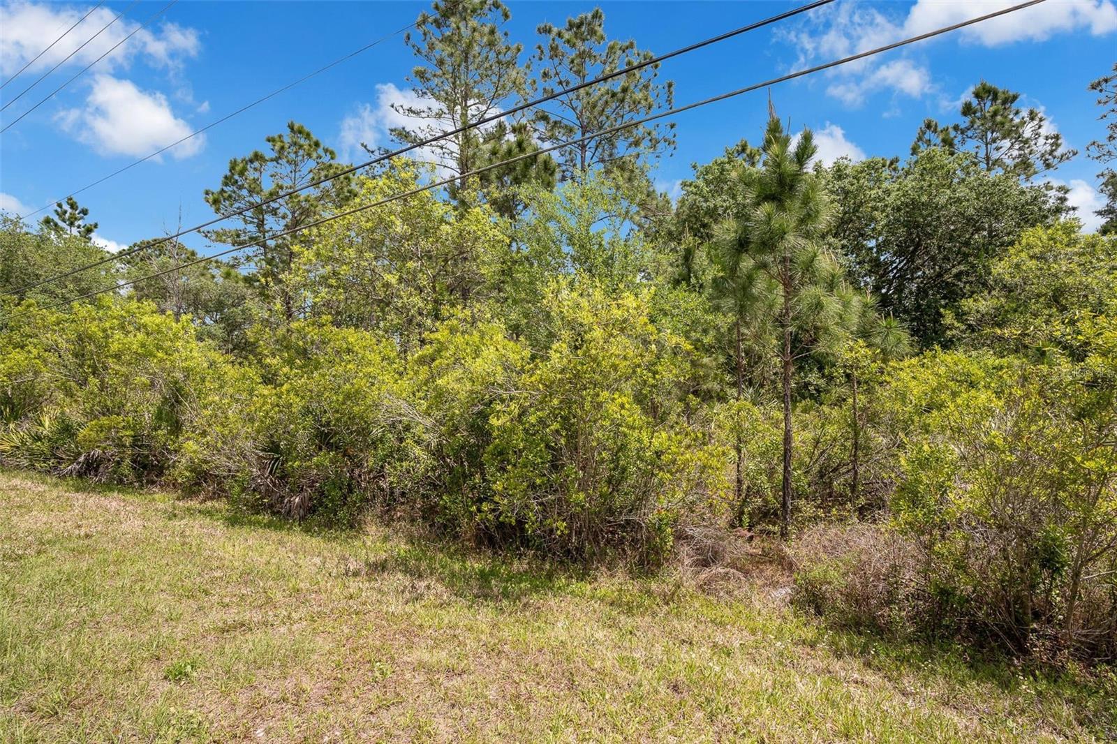 CAESAR AVE, ORLANDO, FL, 32833