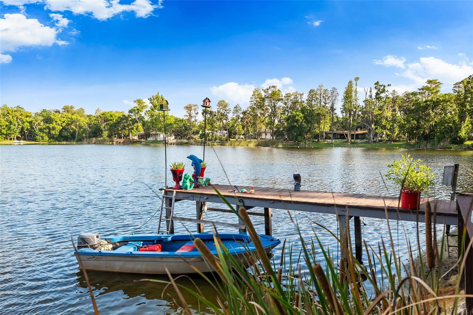 17301 ESTES RD, LUTZ, FL, 33548