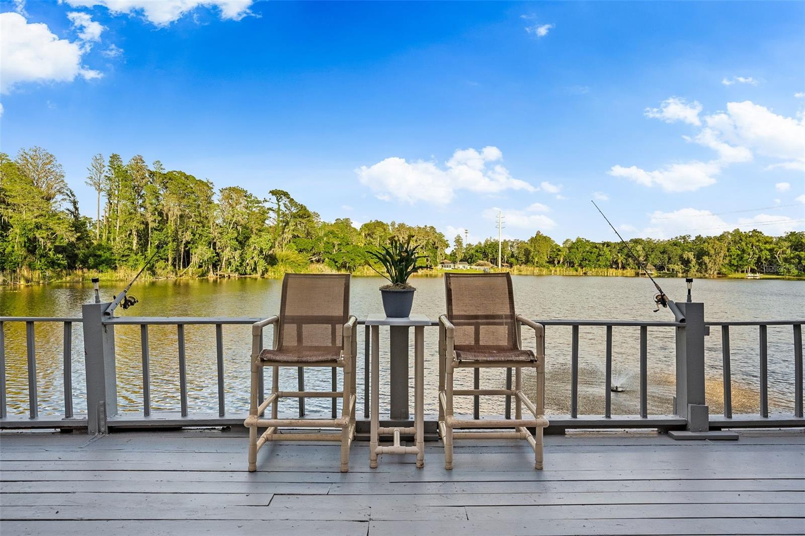 17301 ESTES RD, LUTZ, FL, 33548