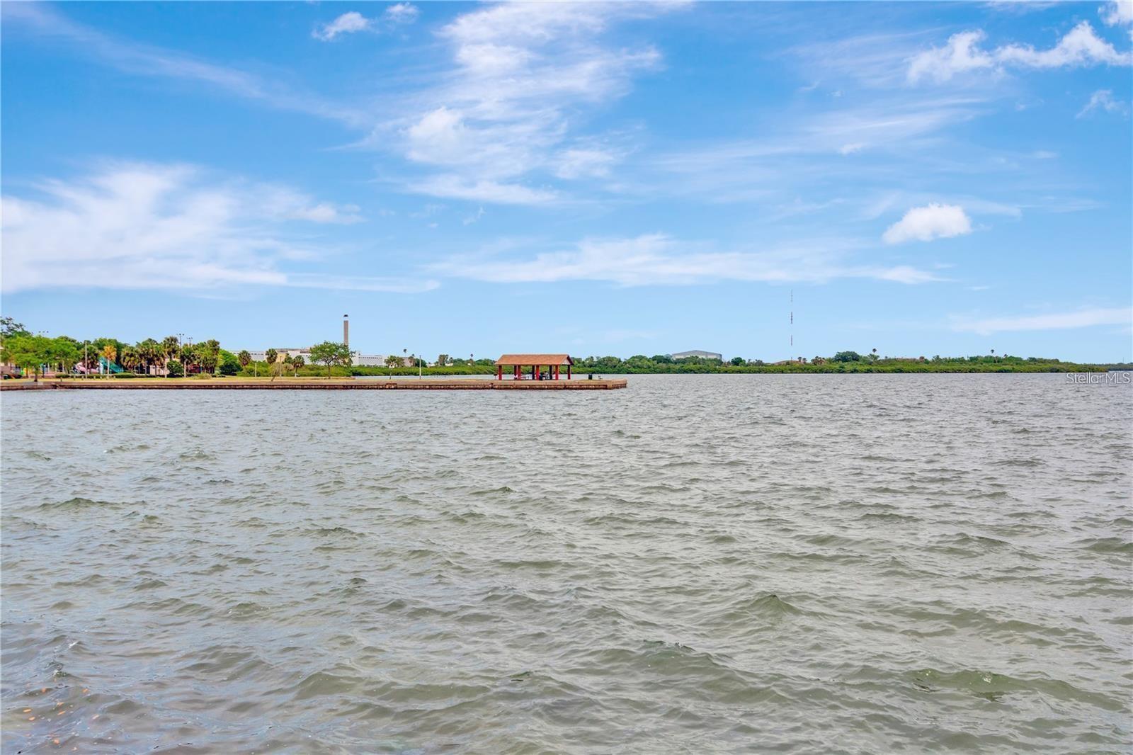 2223 GORDON ST, TAMPA, FL, 33605