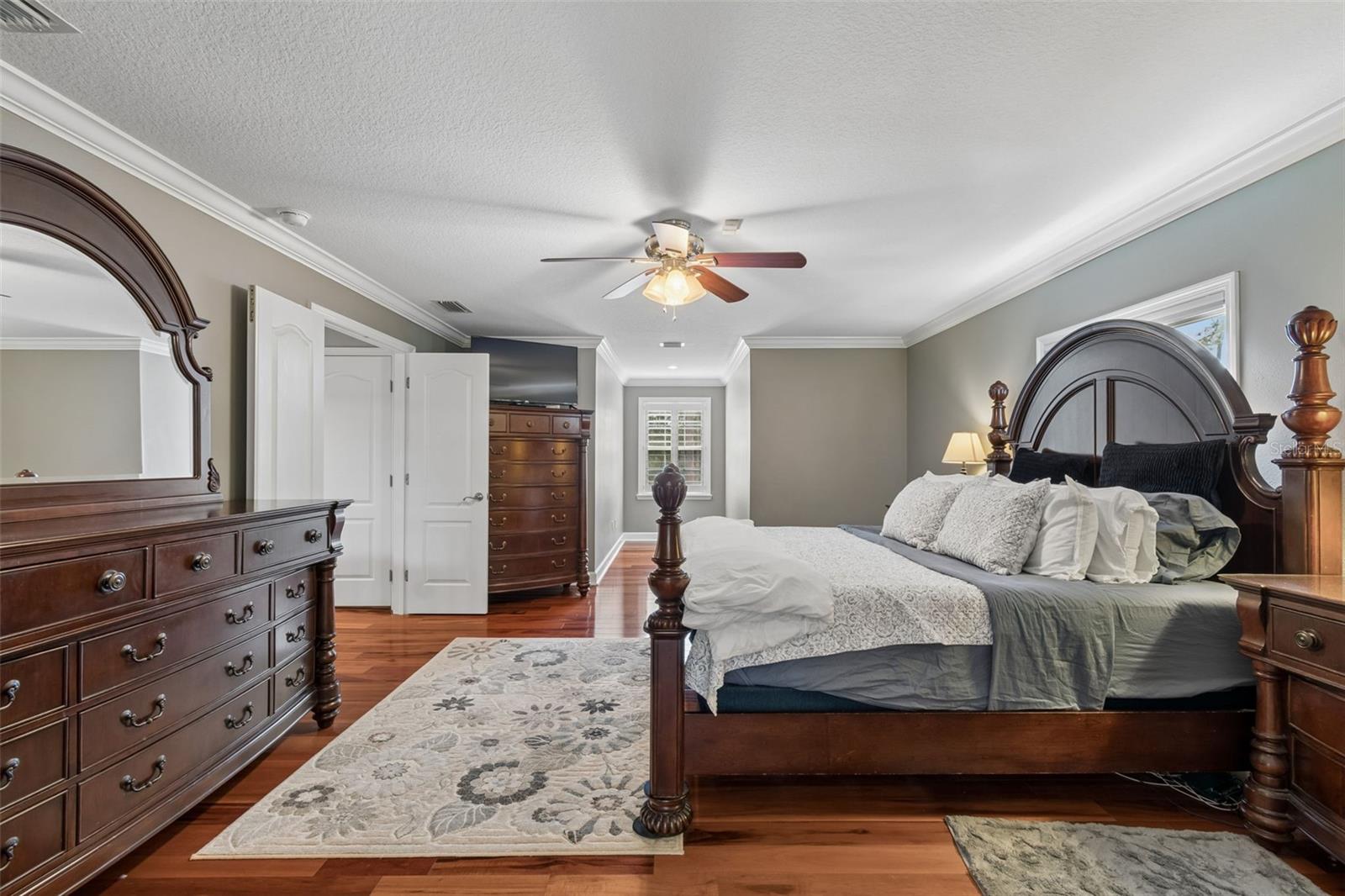 5438 DREXEL RD, LAND O LAKES, FL, 34638