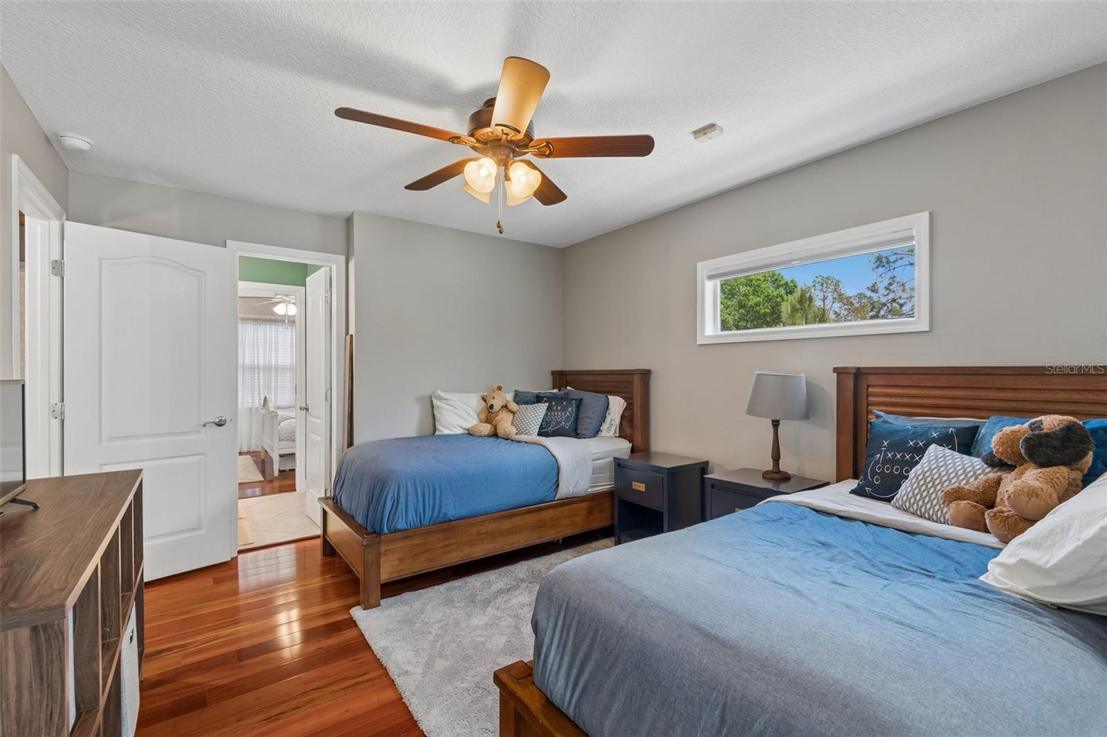 5438 DREXEL RD, LAND O LAKES, FL, 34638