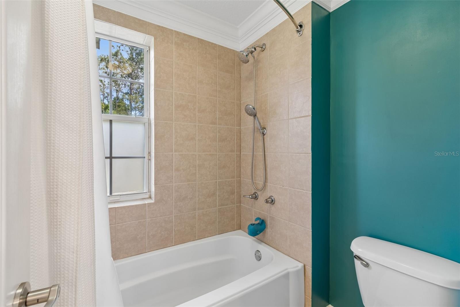 5438 DREXEL RD, LAND O LAKES, FL, 34638