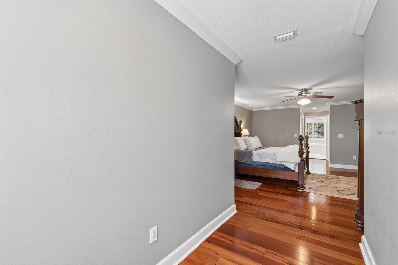 5438 DREXEL RD, LAND O LAKES, FL, 34638