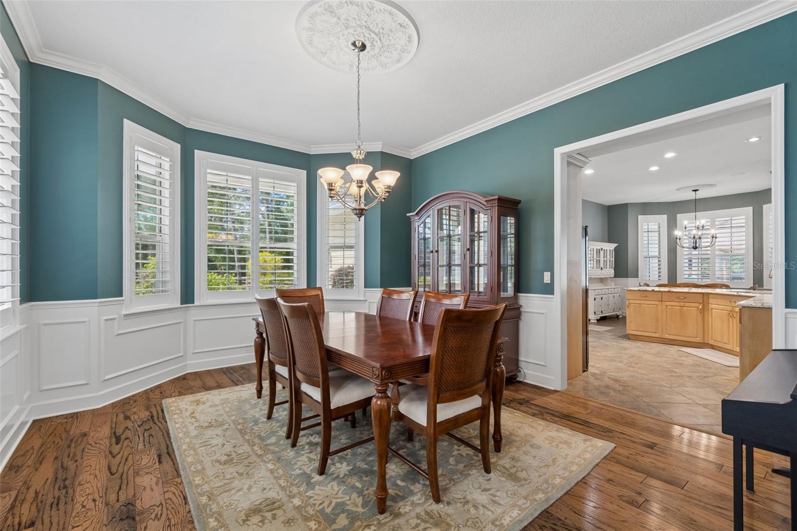 5438 DREXEL RD, LAND O LAKES, FL, 34638