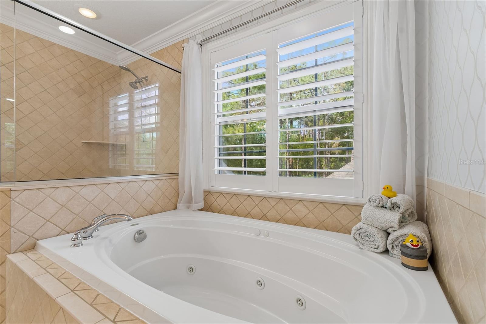 5438 DREXEL RD, LAND O LAKES, FL, 34638