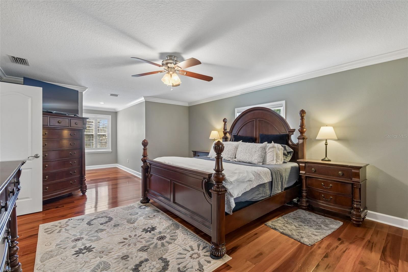 5438 DREXEL RD, LAND O LAKES, FL, 34638