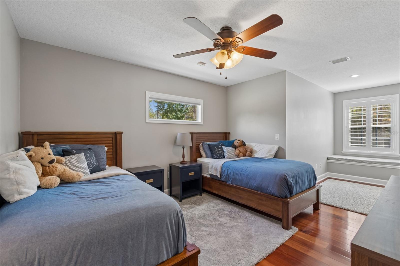 5438 DREXEL RD, LAND O LAKES, FL, 34638