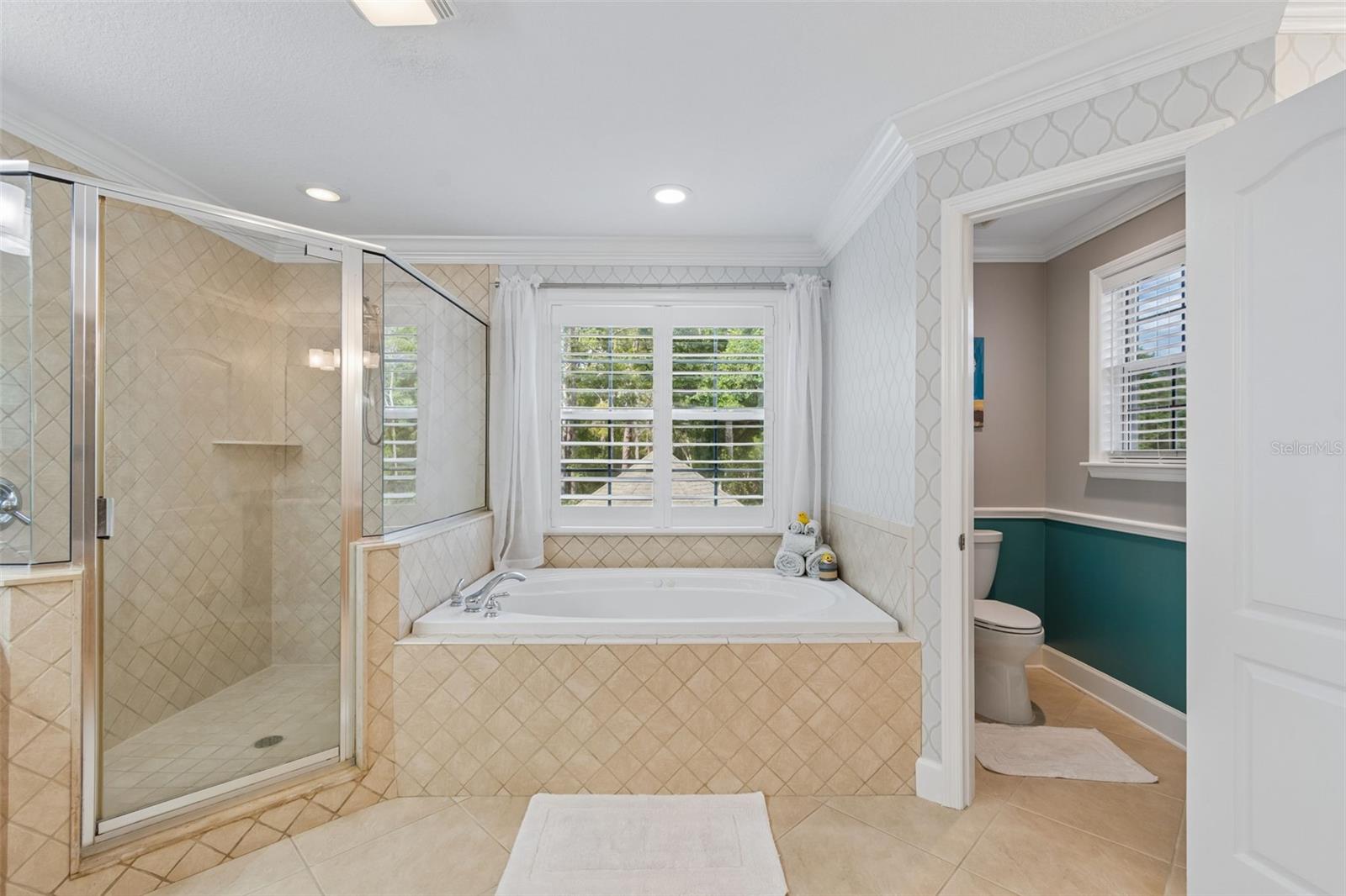 5438 DREXEL RD, LAND O LAKES, FL, 34638