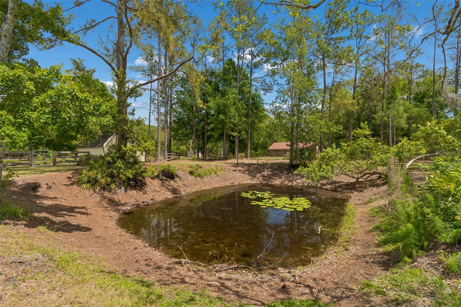 5438 DREXEL RD, LAND O LAKES, FL, 34638