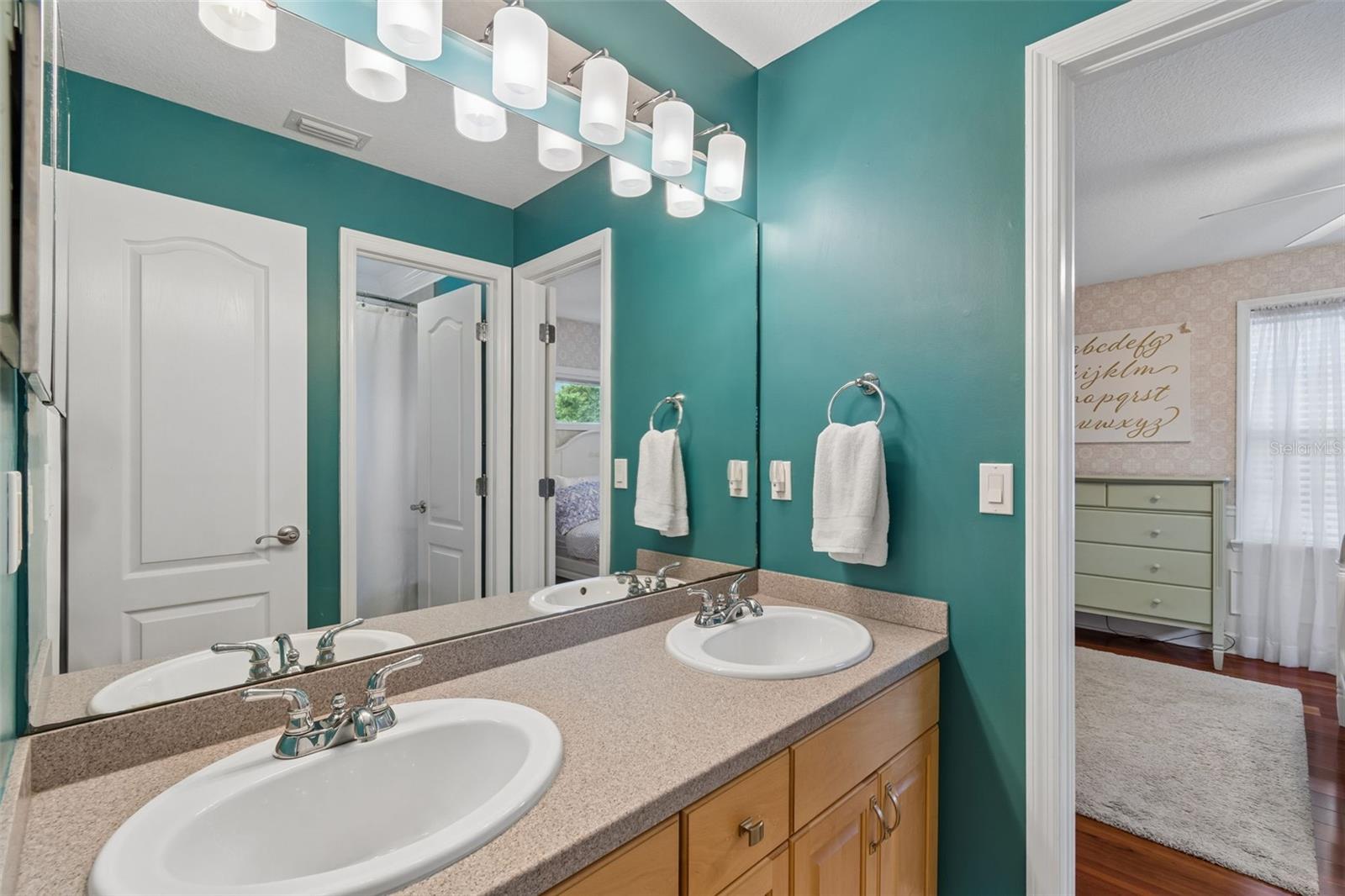 5438 DREXEL RD, LAND O LAKES, FL, 34638