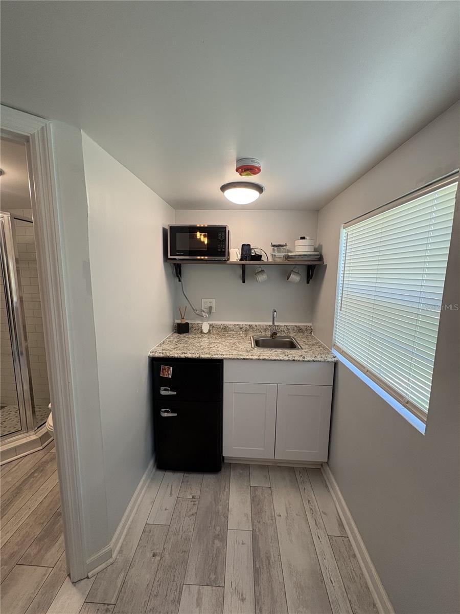 315 BATH ST, TARPON SPRINGS, FL, 34689