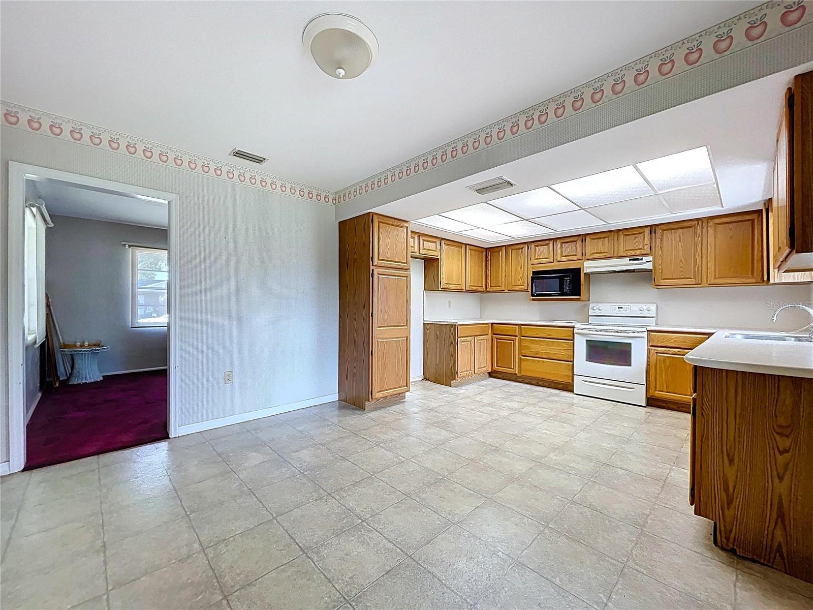 1305 HICKORY LN S, FORT MEADE, FL, 33841