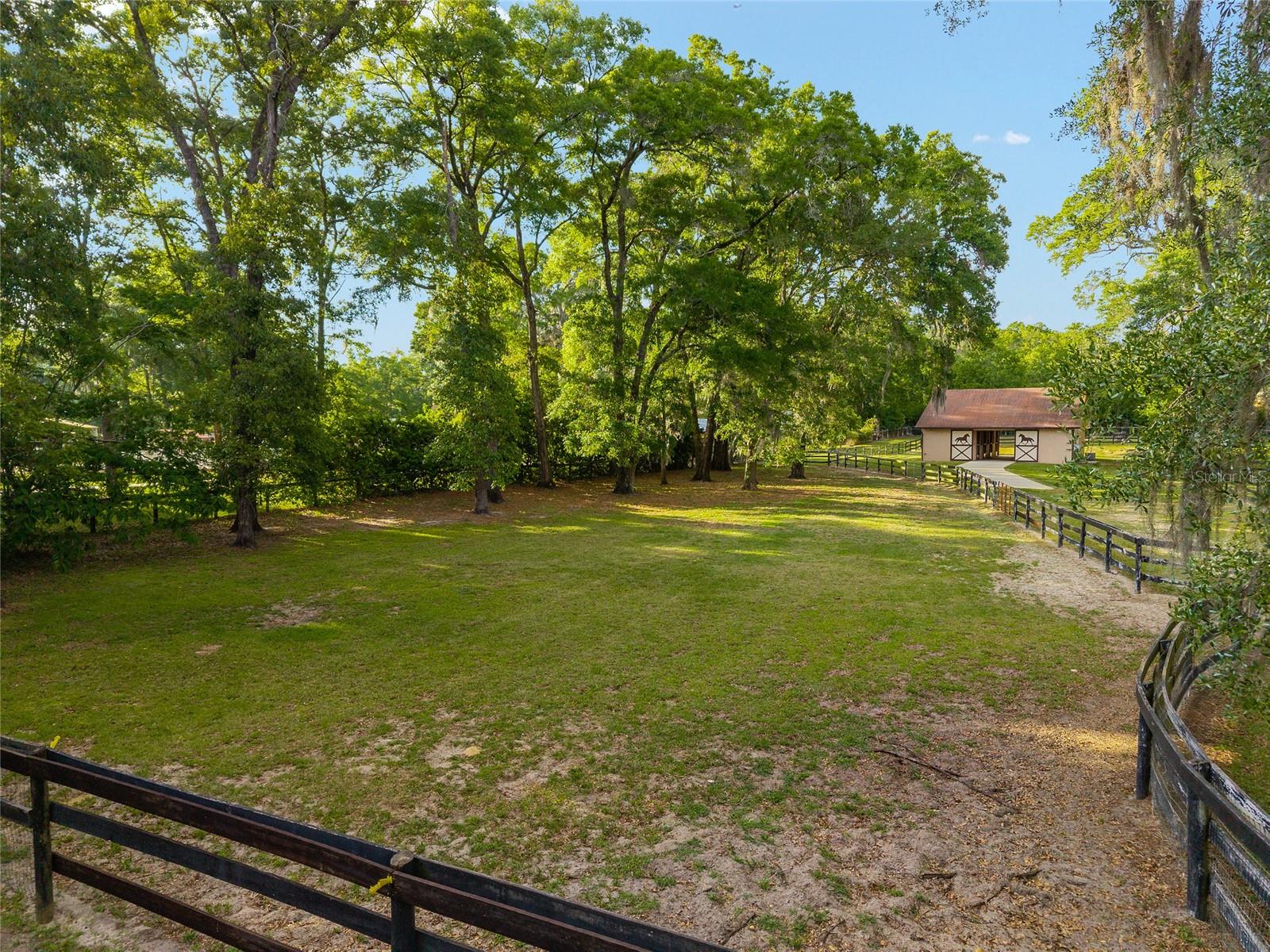 8117 SW 41ST PLACE RD, OCALA, FL, 34481