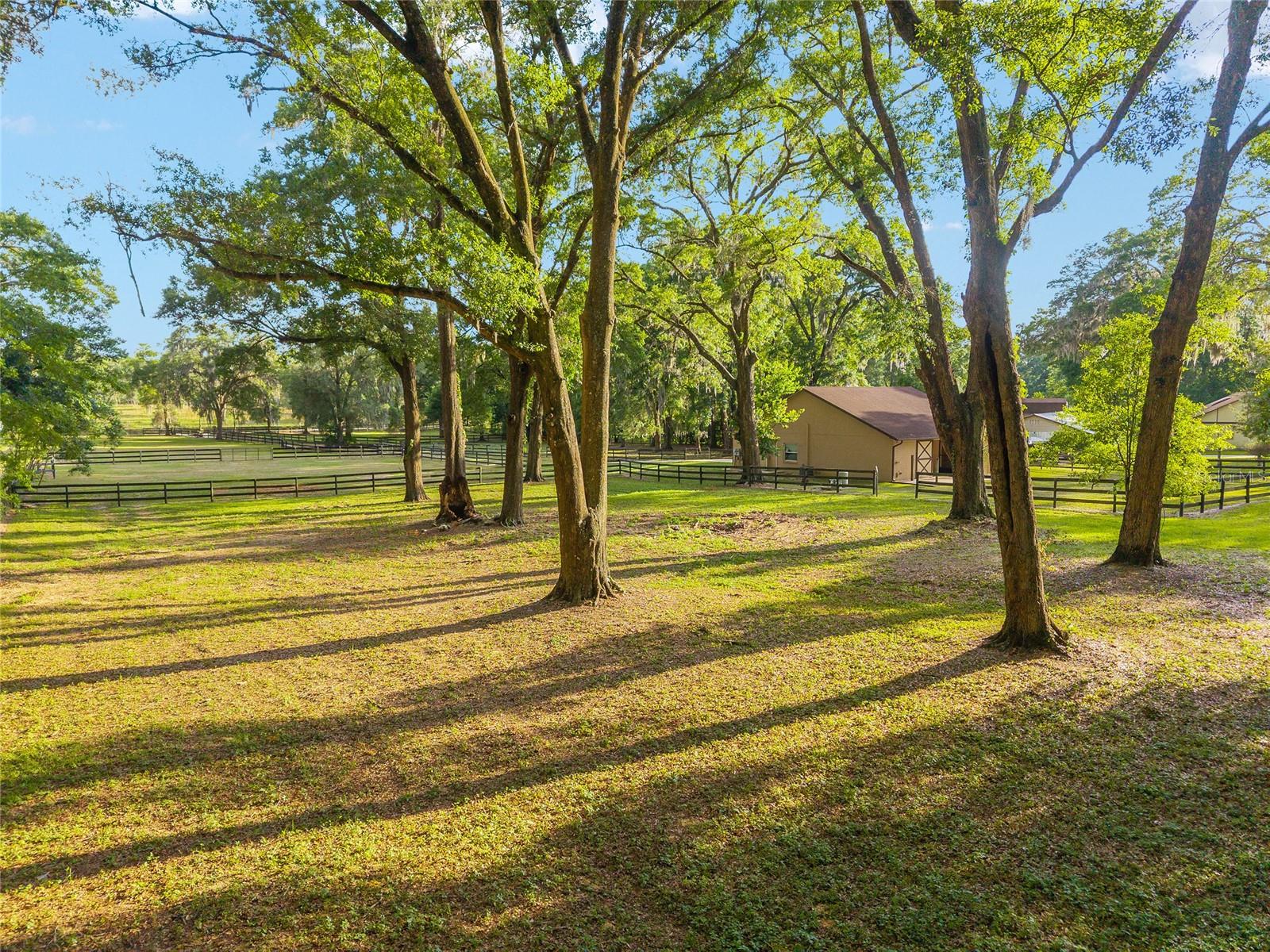 8117 SW 41ST PLACE RD, OCALA, FL, 34481