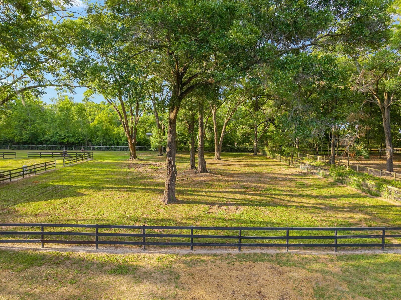 8117 SW 41ST PLACE RD, OCALA, FL, 34481