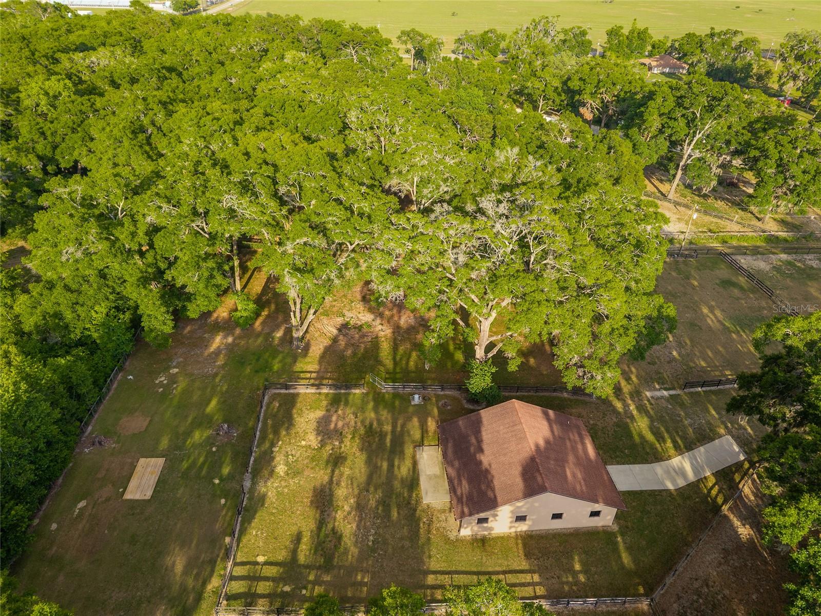 8117 SW 41ST PLACE RD, OCALA, FL, 34481