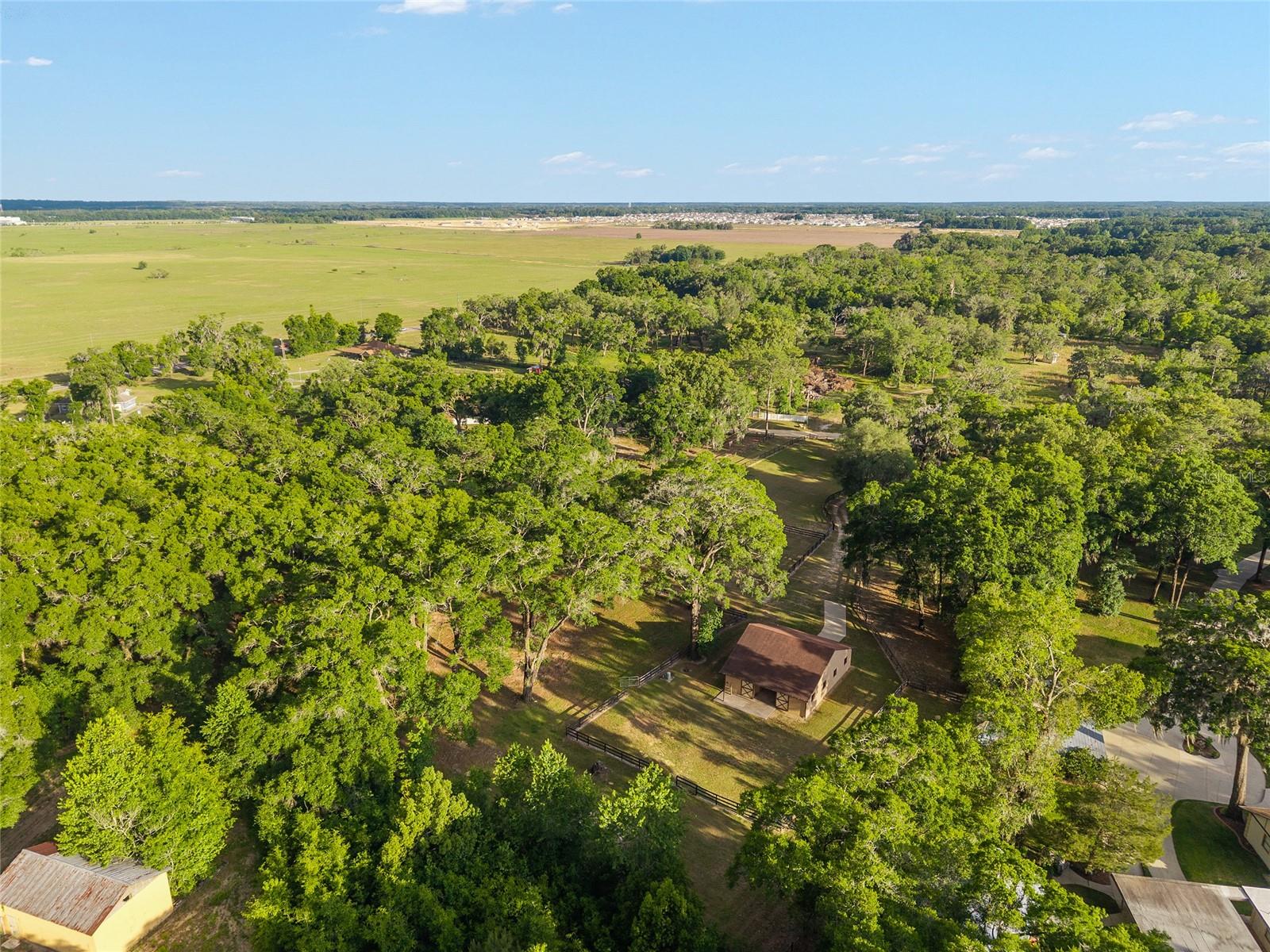 8117 SW 41ST PLACE RD, OCALA, FL, 34481