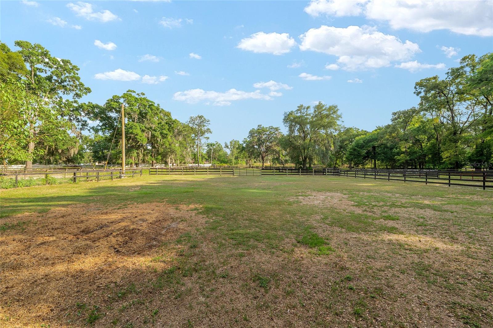 8117 SW 41ST PLACE RD, OCALA, FL, 34481