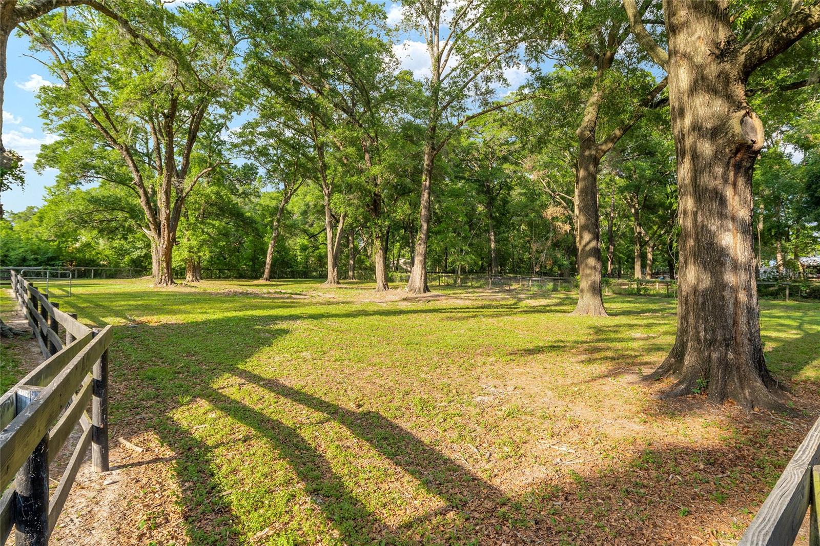 8117 SW 41ST PLACE RD, OCALA, FL, 34481