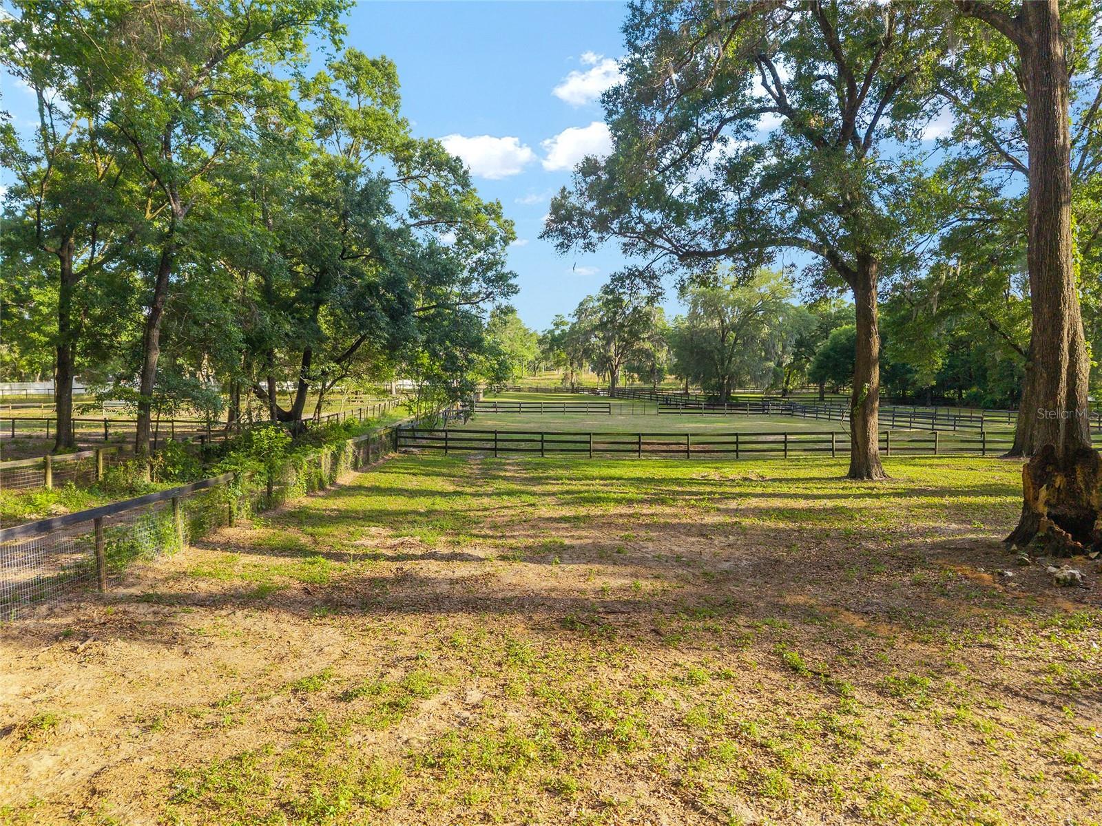 8117 SW 41ST PLACE RD, OCALA, FL, 34481